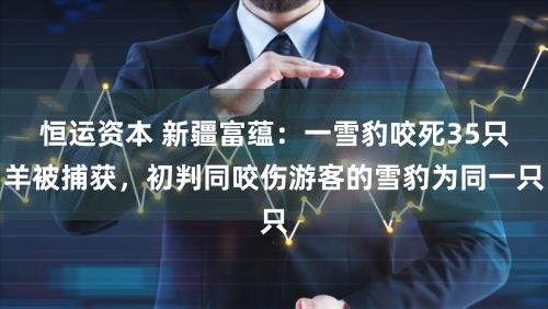 恒运资本 新疆富蕴：一雪豹咬死35只羊被捕获，初判同咬伤游客的雪豹为同一只