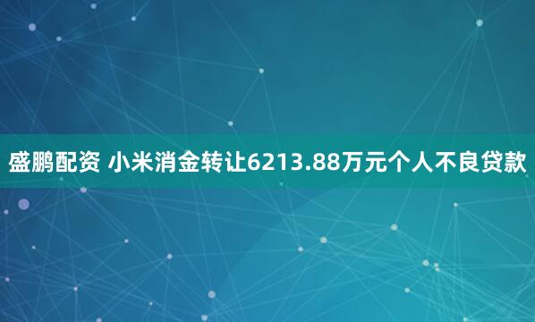盛鹏配资 小米消金转让6213.88万元个人不良贷款