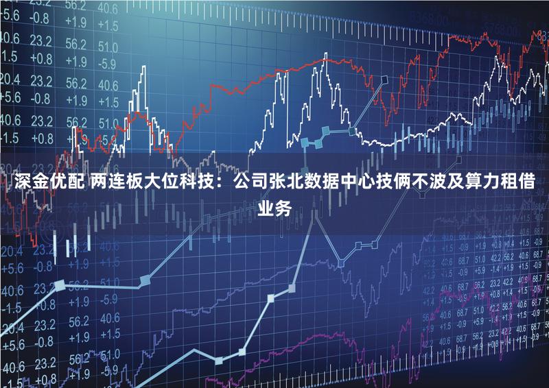 深金优配 两连板大位科技：公司张北数据中心技俩不波及算力租借业务