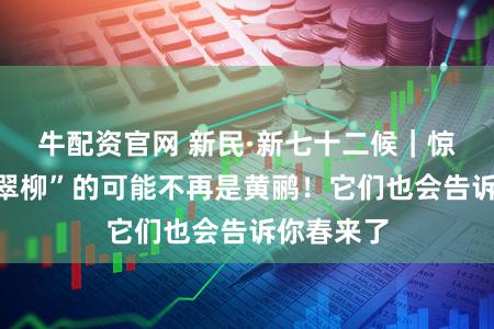 牛配资官网 新民·新七十二候｜惊蛰：“鸣翠柳”的可能不再是黄鹂！它们也会告诉你春来了