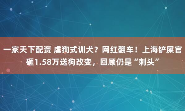 一家天下配资 虐狗式训犬?网红翻车!上海铲屎官砸1.58万送狗改变,回顾仍是“刺头”