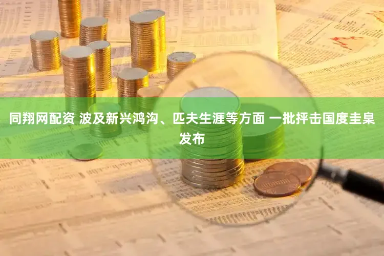 同翔网配资 波及新兴鸿沟、匹夫生涯等方面 一批抨击国度圭臬发布