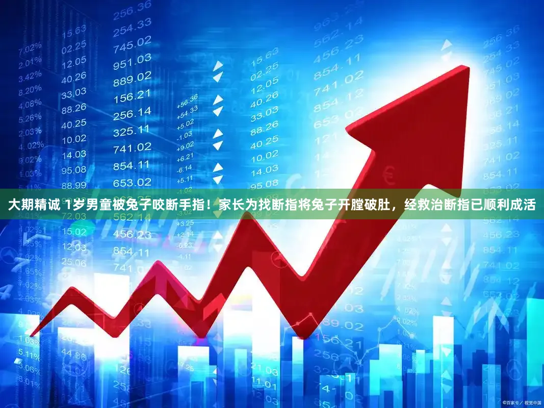 大期精诚 1岁男童被兔子咬断手指！家长为找断指将兔子开膛破肚，经救治断指已顺利成活