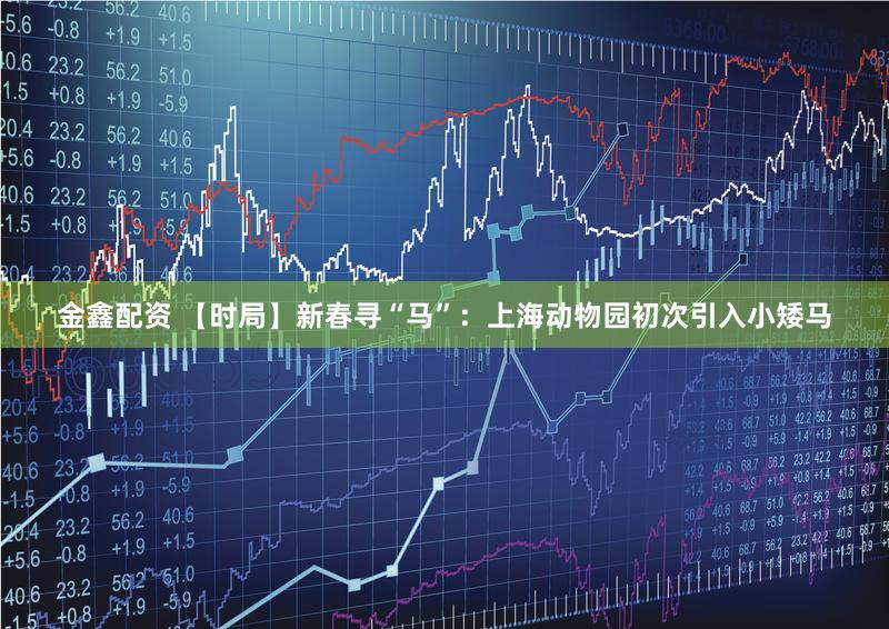 金鑫配资 【时局】新春寻“马”：上海动物园初次引入小矮马