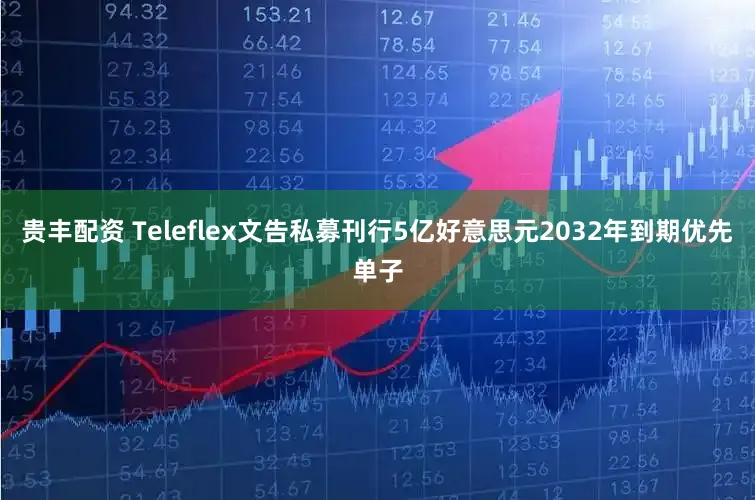 贵丰配资 Teleflex文告私募刊行5亿好意思元2032年到期优先单子